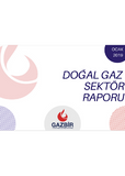 GAZBIR January Sector Report