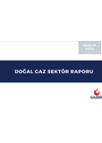 GAZBIR December Sector Report
