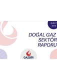 GAZBIR February Sector Report