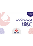 GAZBIR July Sector Report