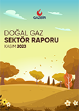 GAZBIR November Sector Report
