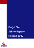GAZBIR June Sector Report