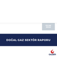 GAZBIR January Sector Report
